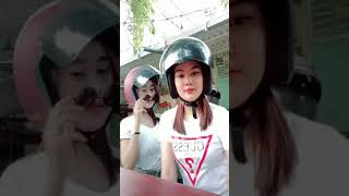 Download lagu ada udang dibalik helm | tiktok viral pargoy mp3 Download lagu ada udang dibalik helm | tiktok viral pargoy mp3