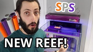 Purple Orange and Grey SPS REEF BUILD!