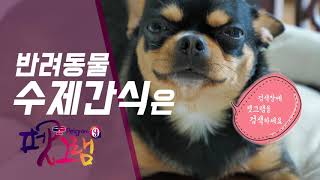 유튜브 썸네일