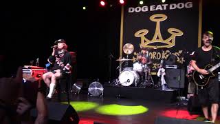 Dog Eat Dog - Who&#39;s the King? Live in Antwerpen at Trix on 11/10/19
