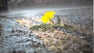 MORGAN FISHER  illustrious facades