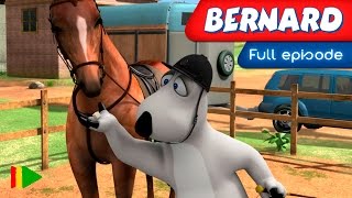 Bernard Bear - 133 - Dressage