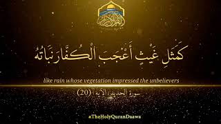 ۞كَمَثَلِ غَيْثٍ أَعْجَبَ الْكُفَّارَ نَبَاتُهُ ۞ #theholyqurandaawa  #islam  #quran  #allah