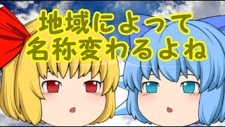 【ゆっくり茶番】全力で挑むけいどろ 前編