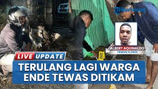 Perkelahian Berujung Maut di Ende, Pemuda 25 Tahun Didorong dan Ditusuk hingga Tewas
