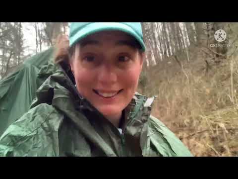 Appalachian Trail Hike: Day 38  & 39-Zero/Ankle Recovery Day & US 19E to Moreland Gap Shelter