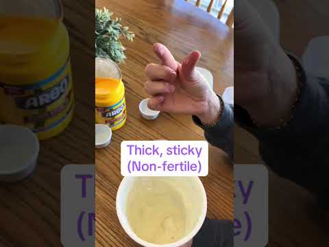 What does cervical mucus look like?