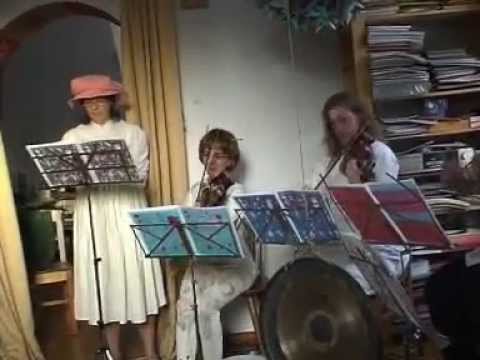 Die Prozession der Käfer