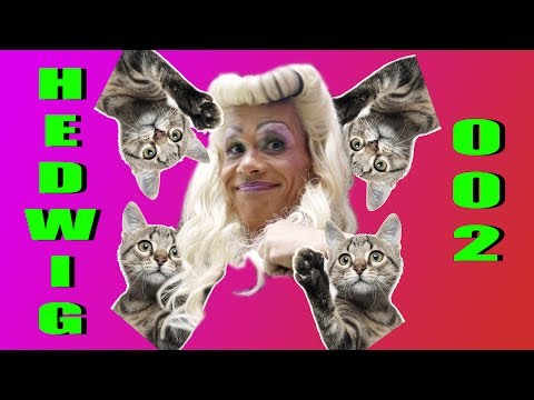 Hedwig und KATZEN-YOGA - Folge 002