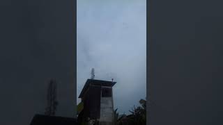 Download lagu Reaksi walet saat dengar NEW PJW mp3