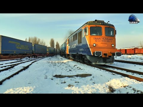 🚂☃ Trenuri in Zăpadă in Oradea 🚂🚅🚂 Trains in Snow in Oradea - 13 January 2022