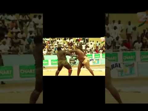 Boy Narr Simel Faye Rétro lamb #coachafricain #duet #duo #boxefitness #boxing #greenscreen #stitch