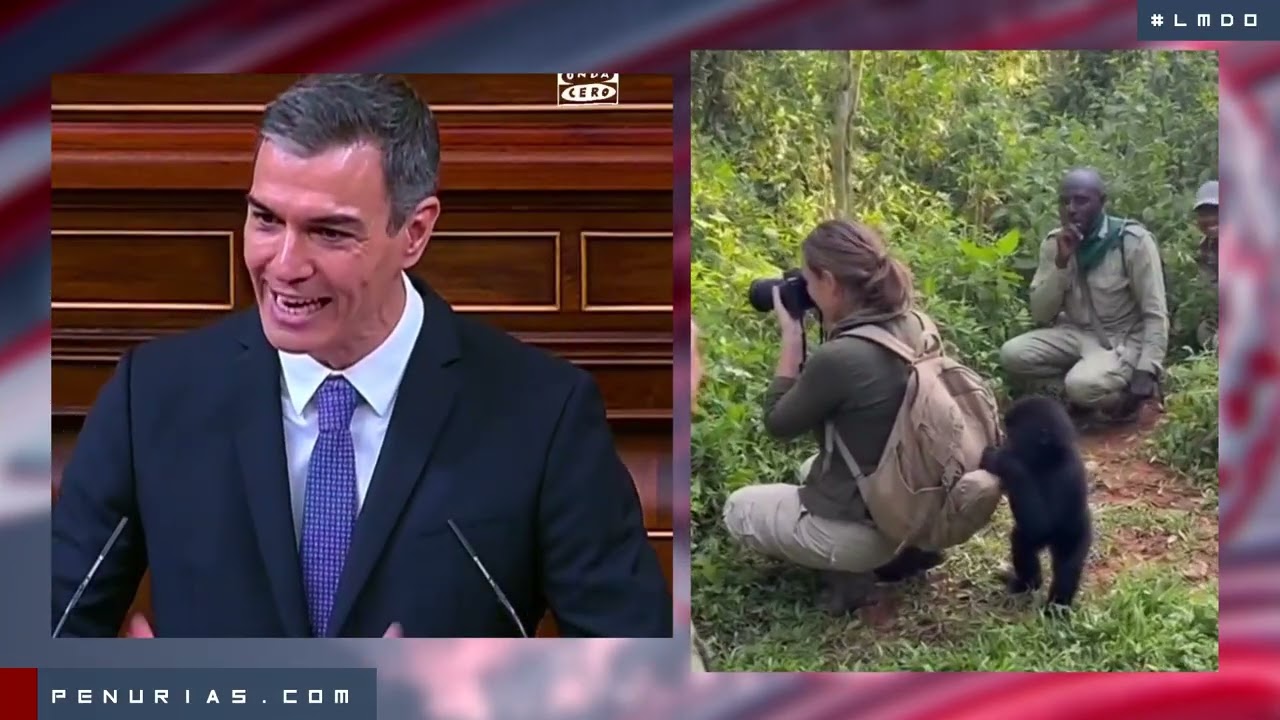 🔴 LOS MINUTOS DEL ODIO - Semana 46 de 2025