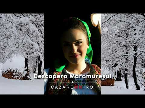 BAIA SPRIE Maramures, Viziteaza Baia Sprie, Cazare, Pensiuni   CazareMM