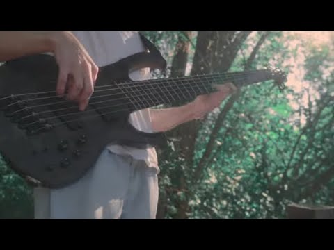 Cocaine Bear - Stereosity [OFFICIAL MV]