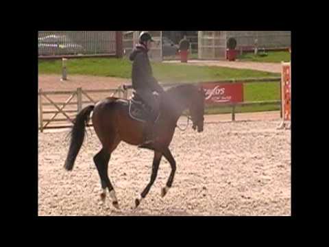 Broadway Concept*Sereld'hel et FX Boudant entrainement deauville 08/03/16