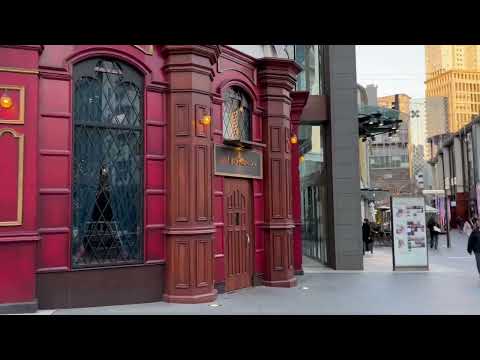 経営学科 赤坂のハリーポッター　#harrypotter #ハリーポッター