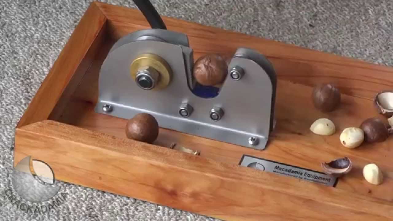 CRACKADAMIA Macadamia nut Cracker in action - 'Deluxe Base Cracker'