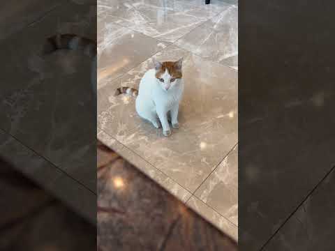 #aiofb3 #karthikashyam #karthika #b3 #b3bridalstudio #makeup #b3masterclass #istanbul  #shykar