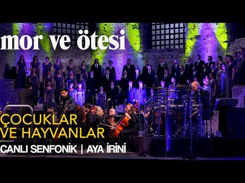 Videoclip de Çocuklar Ve Hayvanlar (Canlı) — Mor ve Ötesi