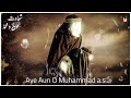5th Muharram Status Shahadat Aun O Muhammad A S Nouha Status Mir Hasan Mir