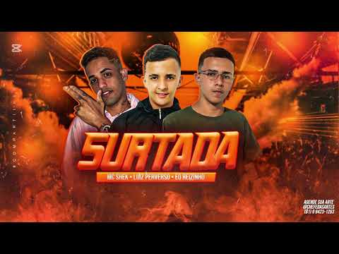 EO REIZINHO - MC SHEK - LUIZ PERVERSO - SURTADA - REMIX BREGA FUNK 2024