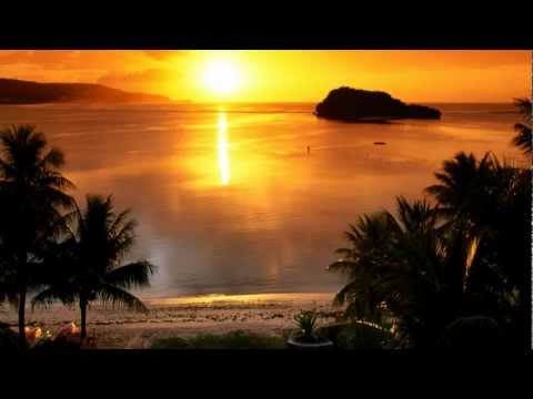 Sonic Librarian - Starting to Feel