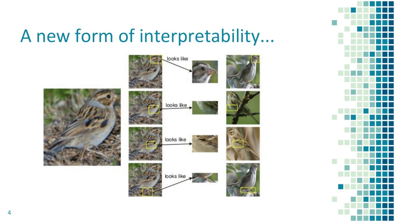 This Looks Like That: Deep Learning for Interpretable Image Recognition (NeurIPS 2019)