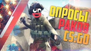 Новогодние Опросы Раков в CS:GO