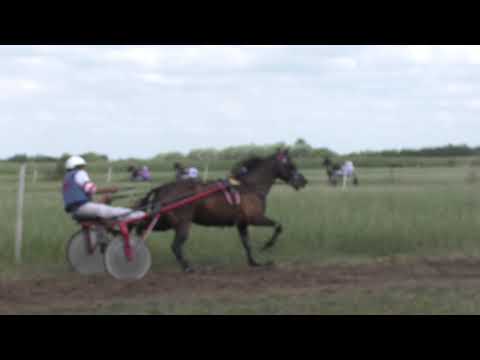 ACAJOU GEDE - 02/08/2020