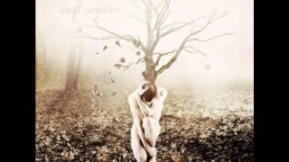 Asaf Avidan | A Ghost Before The Wall - VON RIBERA REMIX