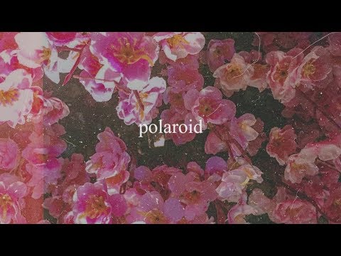 Polaroid - Alisson Shore, kiyo, no$ia (Official Audio)