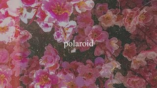 Polaroid Music Video