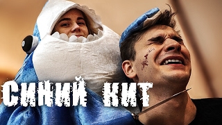 СИНИЙ КИТ
