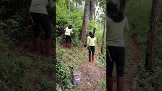 Download lagu Bahasa Sunda vs Bahasa Jawa,Lucu,Bikin Ngakak #shorts #short #viral mp3