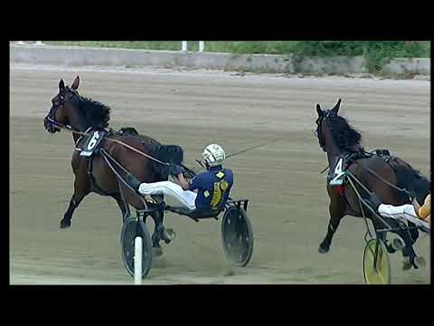 Napoli Trotto 17/09/2021 - 3ª corsa