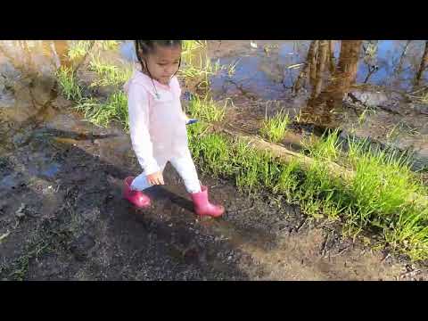 Stonii explores a forest and haves some fun at the playground
