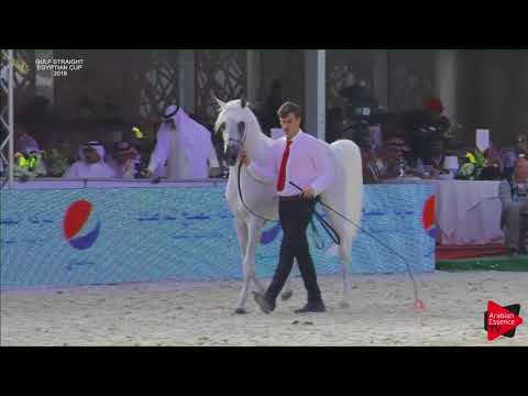 148 SHIHAB AL SHAKHOURA   Gulf SE Cup 2018