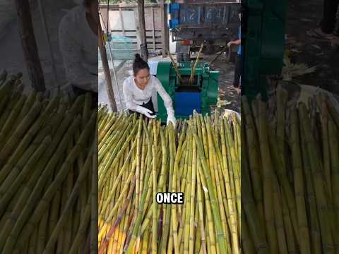 How Brown Sugar Is Really Made | Village Process You’ve Never Seen