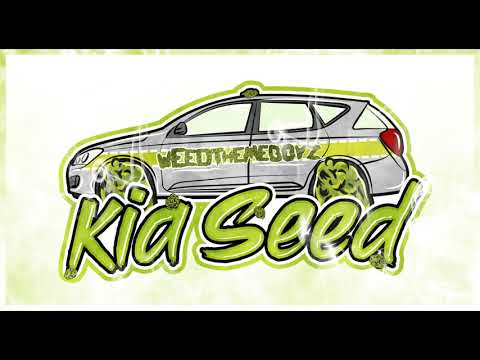 Bilu x Will Spliff - Kia Seed