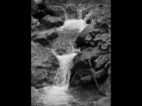 Marinela Ciorba -Ce -ai semanat cu lacrimi