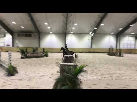 Gia Gulino & Armada Maclay WEC 3/11/17