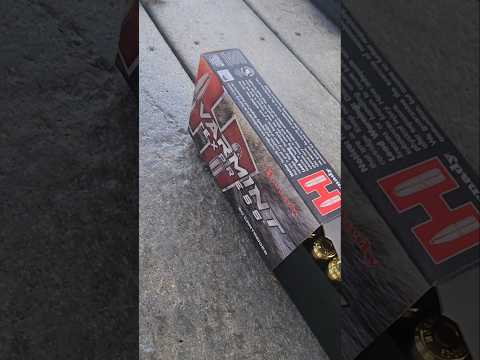 Hornady V-Max .17 HMR vs .22 WMR 22 Magnum Ballistic Gel Test
