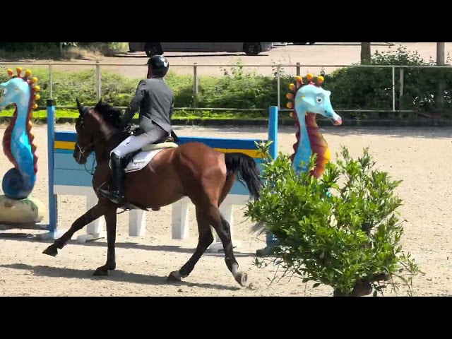 show video