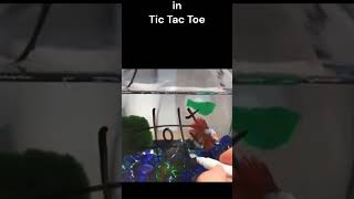 Tic Tac Toe with a Pet Fish ... #animals #funny #fail #gaming #games