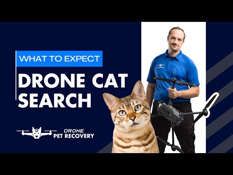 Finding a Lost Cat: What to Expect with Thermal Drone Search