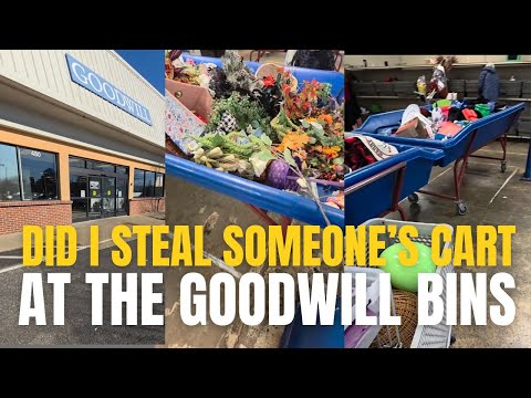 I took someone's cart at Goodwill Outlet bins • Thrift with me • thrifting for resale and home decor