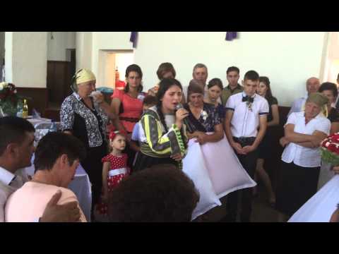 Aniculaesei Patricia - Nunta live Lamaseni