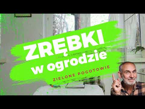 Jak wykorzystać zrębki w ogrodzie?