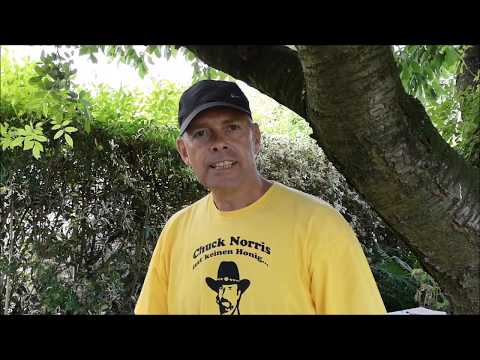 Ameisensäurebehandlung mit Liebig Dispenser